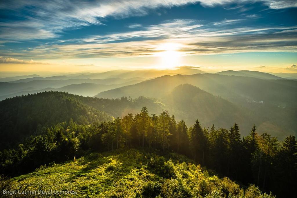 Schwarzwald-Traum Mit Pool Und Sauna Unterkirnach Экстерьер фото