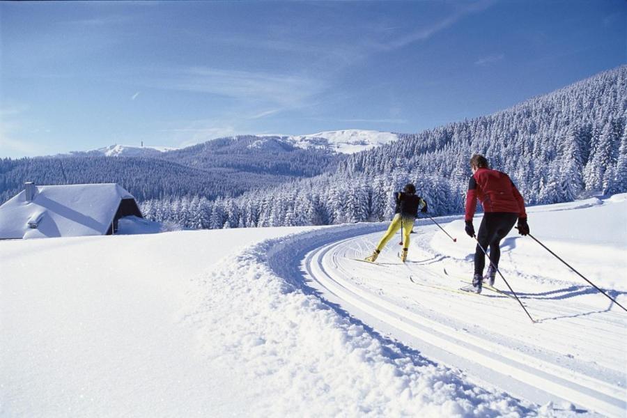 Schwarzwald-Traum Mit Pool Und Sauna Unterkirnach Экстерьер фото
