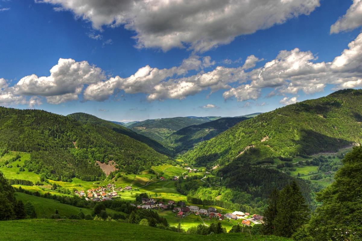 Schwarzwald-Traum Mit Pool Und Sauna Unterkirnach Экстерьер фото